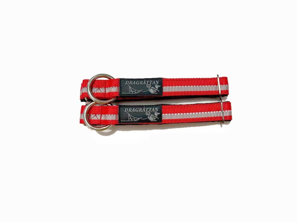 Dragråttan Kiruna dog collar in brown leather with silver buckle