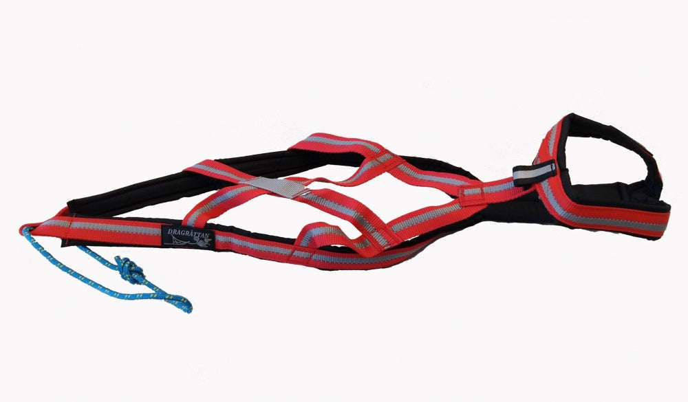 Dragråttan R harness in blue with adjustable straps and reflective detailing