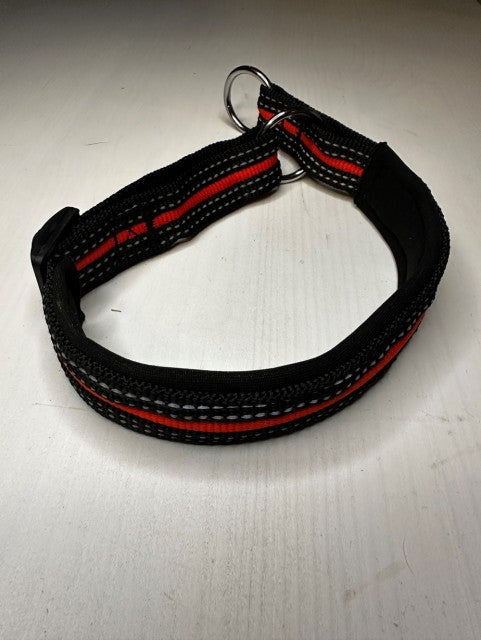 Leather half-check dog collar with metal hardware