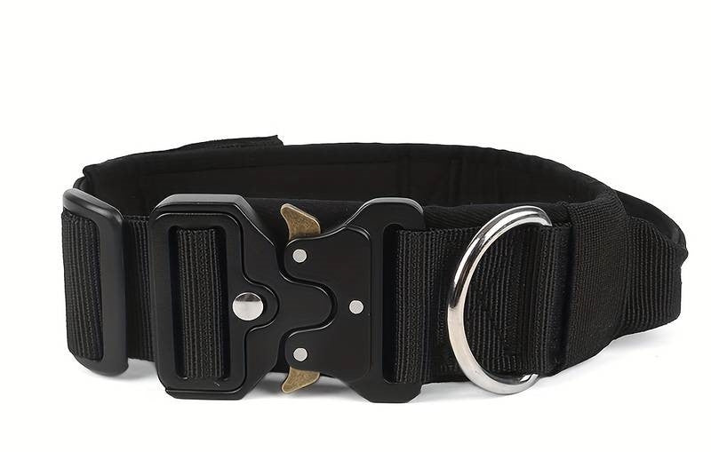 K9 dog collar in blue with silver hardware