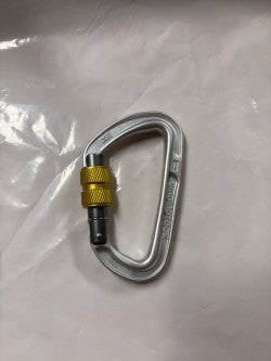100mm carabiner with screw gate lock
