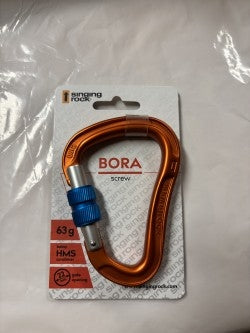 Silver carabiner with screw gate lock for climbing or utility.