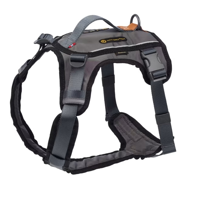 Seleverkstedet Comfort dog harness in blue, worn by a dog.