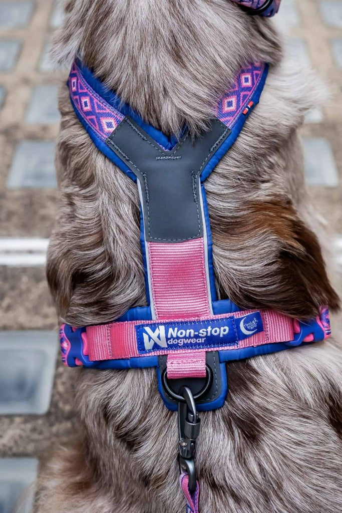 Line harness 5.0 Rachel Pohl edition with colorful mountain graphic